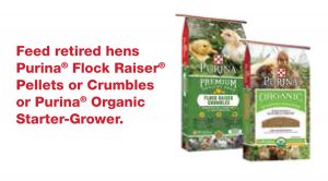 Chicken Facts